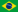 Portugues